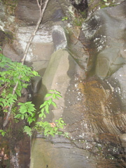 IMG_2367.JPG