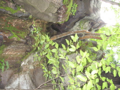 IMG_2368.JPG