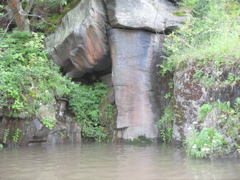 IMG_2370.JPG