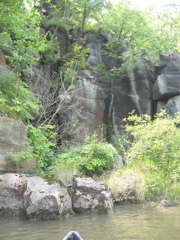 IMG_2371.JPG