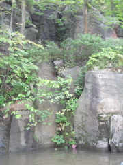 IMG_2372.JPG