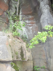IMG_2374.JPG