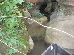 IMG_2375.JPG