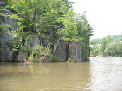 IMG_2376.JPG