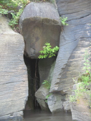 IMG_2386.JPG