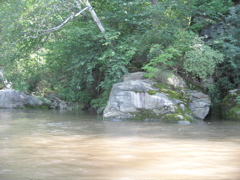 IMG_2400.JPG