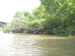 IMG_2402.JPG