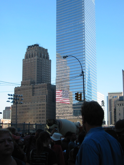 Reflected flag