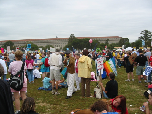 People gather for the rally