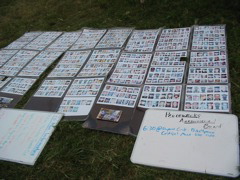 Photos of fallen soilders