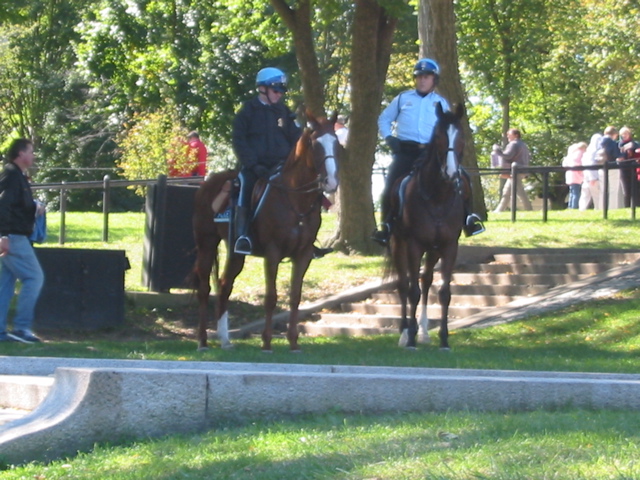 Cops on horses