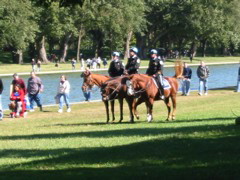 Cops on horses