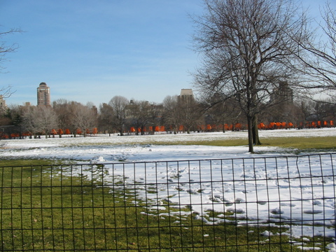 IMG_3405.JPG