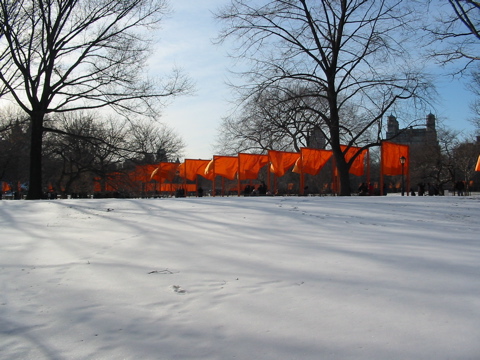IMG_3416.JPG