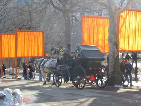 IMG_3446.JPG