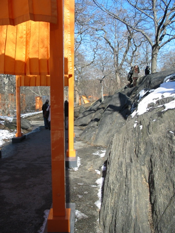IMG_3338.JPG