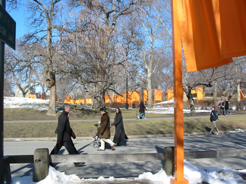 IMG_3351.JPG