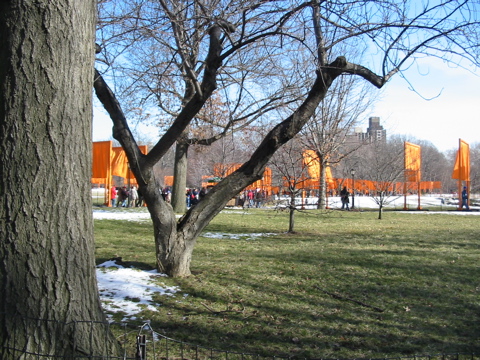 IMG_3396.JPG