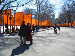 IMG_3313.JPG