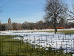 IMG_3405.JPG