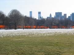 IMG_3410.JPG