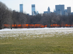IMG_3411.JPG