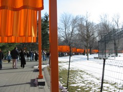 IMG_3412.JPG