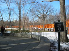 IMG_3419.JPG