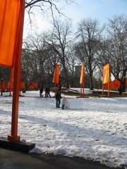 IMG_3428.JPG