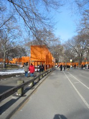 IMG_3435.JPG