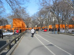IMG_3436.JPG