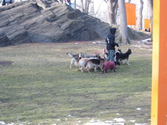 IMG_3437.JPG