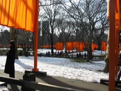 IMG_3439.JPG