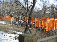 IMG_3440.JPG