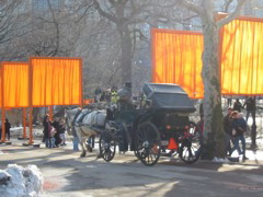 IMG_3446.JPG