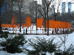 IMG_3450.JPG