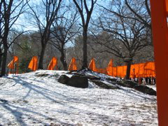 IMG_3325.JPG