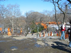 IMG_3332.JPG