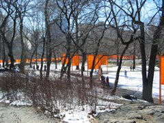 IMG_3334.JPG