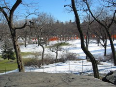 IMG_3336.JPG