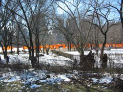 IMG_3337.JPG