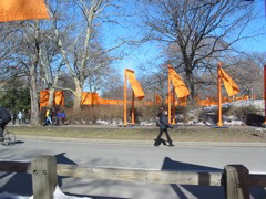 IMG_3345.JPG