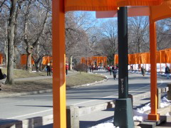 IMG_3347.JPG