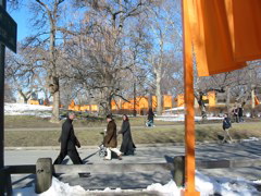 IMG_3351.JPG