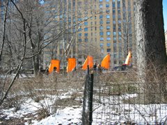 IMG_3308.JPG