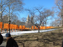 IMG_3354.JPG
