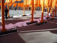 IMG_3357.JPG