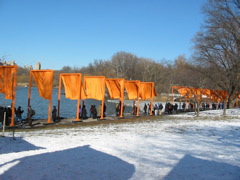 IMG_3368.JPG