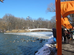 IMG_3370.JPG