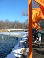 IMG_3371.JPG